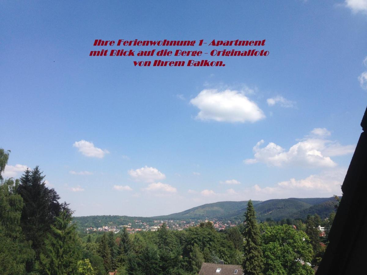 Ferienwohnungen Am Elfenstein Bad Harzburg Extérieur photo
